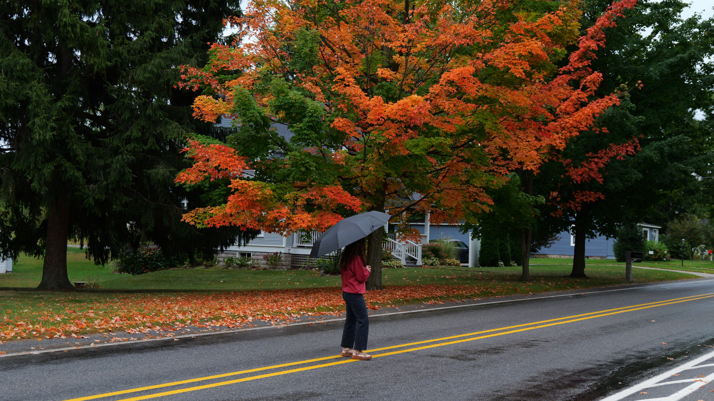 Ring Buckle Umbrella