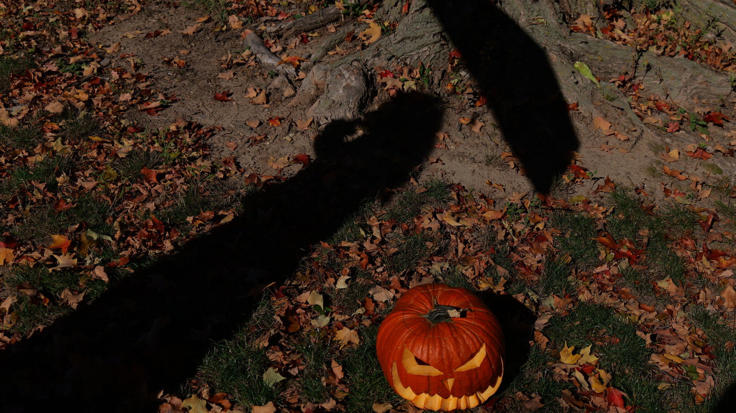 Ring Buckle Umbrella