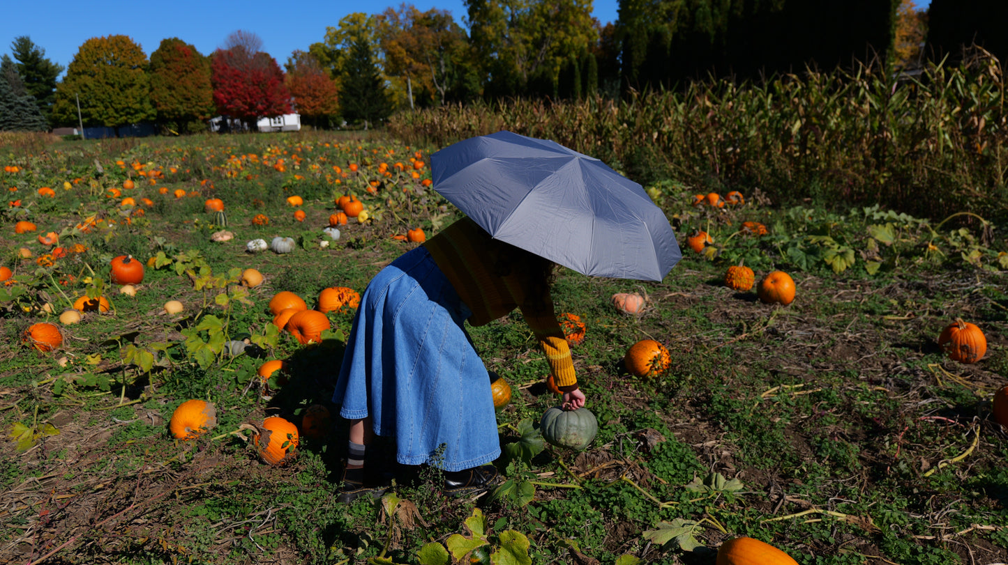 Ring Buckle Umbrella